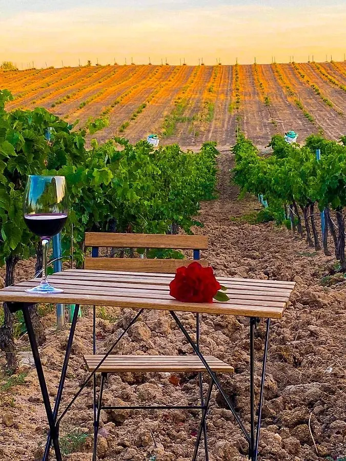 Finca Valdelajara A 20 Minutos De Puy Du Fou Toledo Holiday home