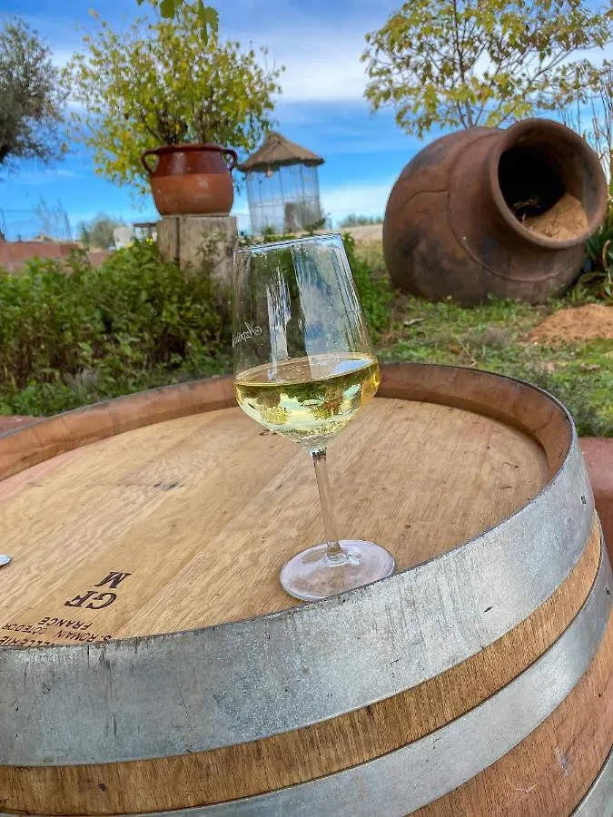 Finca Valdelajara A 20 Minutos De Puy Du Fou Toledo
