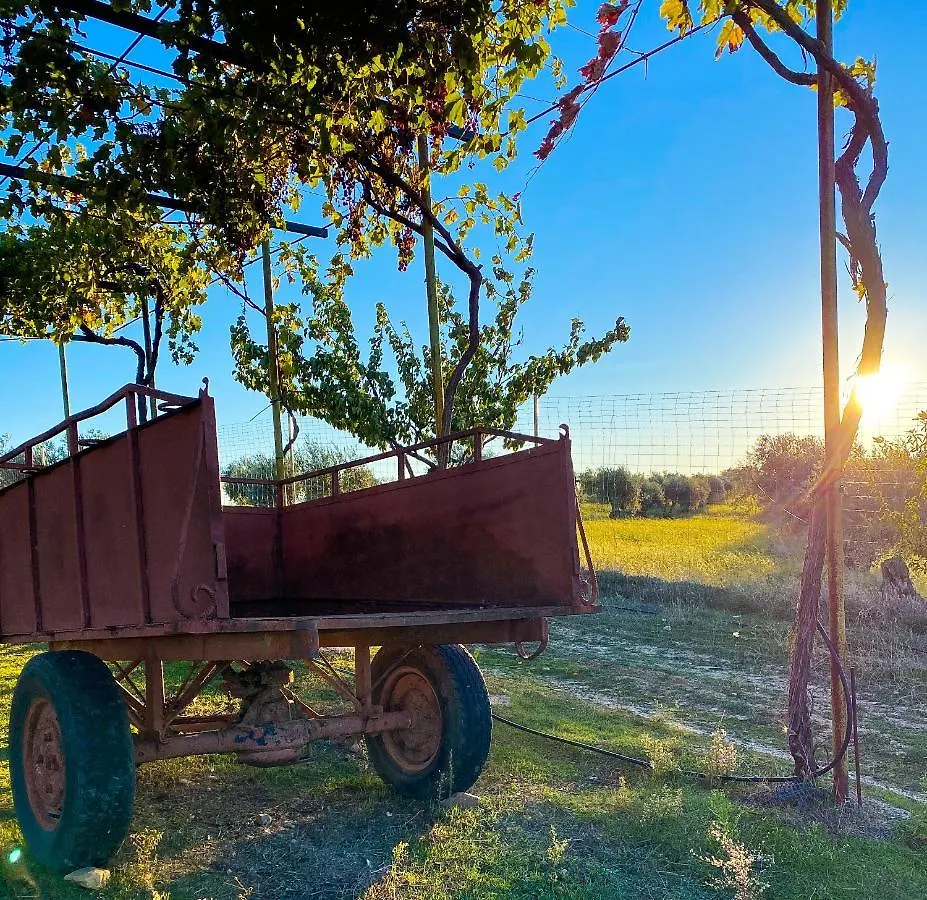 Сasa de vacaciones Finca Valdelajara Toledo España